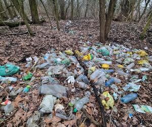 Kolejne dzikie wysypisko śmieci we Wrocławiu. I to tuż przy rzece! Zawiadomiono prokuraturę 