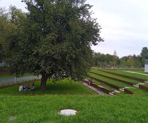 Park centralny w Gdyni. Atrakcje dla dzieci i dorosłych