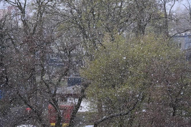 Śnieg we Wrocławiu