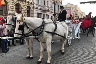 WOŚP 2020 w Łodzi: Pędziły konie po betonie! Za nami Wielka Szarża na Piotrkowskiej [ZDJĘCIA]