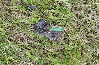 Ślady zbrodni na drodze, spalone ubrania ofiary spod Grójca. Sąsiedzi: Myśleliśmy, że to mafijne porachunki