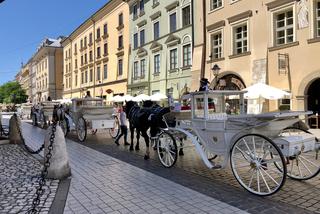 Wracają potężne upały! Dorożki znikają z krakowskiego Rynku Głównego