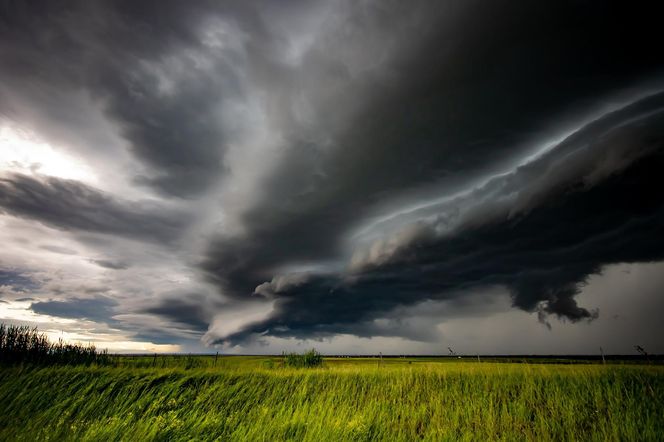 Deszcz, burze i silny wiatr. Pogodowa masakra nie odpuszcza 