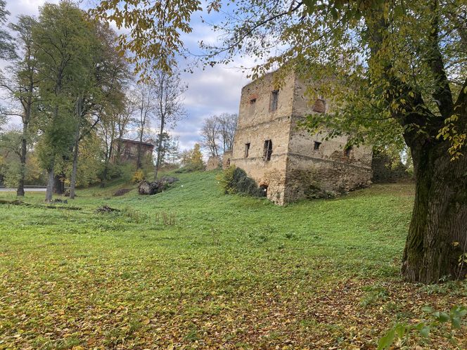 Zamek w Dąbrówce Starzeńskiej