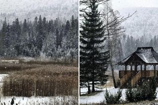 Czuć zimę w Bieszczadach 