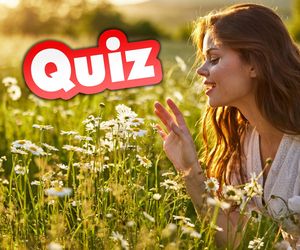 QUIZ. Przysłowia o wiośnie. Każdy zna odpowiedź na pierwsze pytanie, ale jedna jaskółka wiosny nie czyni!