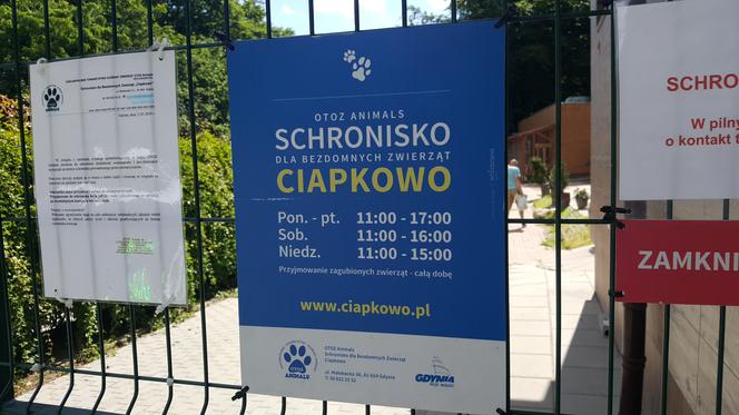 Schronisko w Gdyni uratowało kilkanaście psów. Do Ciapkowa trafiły z Radys