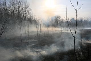 Wielka chmura dymu nad Warszawą! Co się dzieje?!