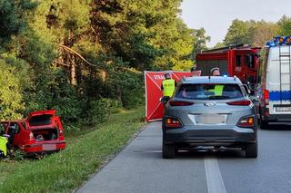 Potworna śmierć. Auto roztrzaskało się na drzewie. Wypadek w Wólce Radzymińskiej