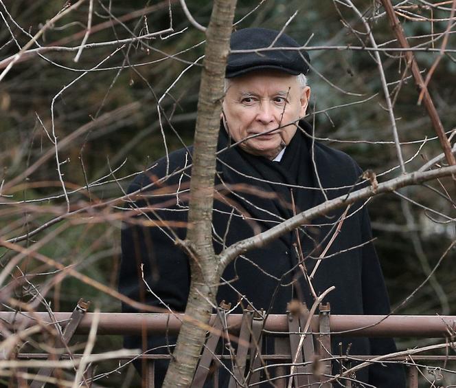 Jarosław Kaczyński wrócił do pracy
