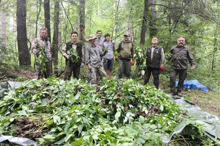 Inwazja obcych w woj. warmińsko-mazurskim. Te gatunki niszczą ekosystem
