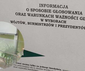 Wybory 2024 w powiecie bydgoskim. Najwyższa frekwencja jest w gminie Dąbrowa Chełmińska