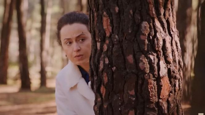 Miłość i nadzieja odc. 322. Cavidan