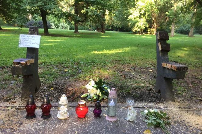 Tragedia w Parku Praskim w Warszawie. Konar zabił dziecko. „Splot nieszczęśliwych okoliczności”