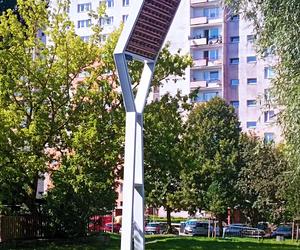 Psie Pole zmieniło się w osiedlowy park