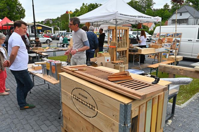 Ruiny domów i gospodarstw z czasem, bardzo powoli odzyskują dawny wygląd - ruinersi są wytrwali