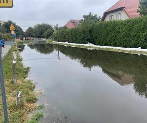 Przerwany wał przeciwpowodziowy w Warszawie. Dramatyczny skutek nawałnic