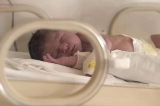 Pierwsza miłość odc. 3759. Syn Emilki i Bartka