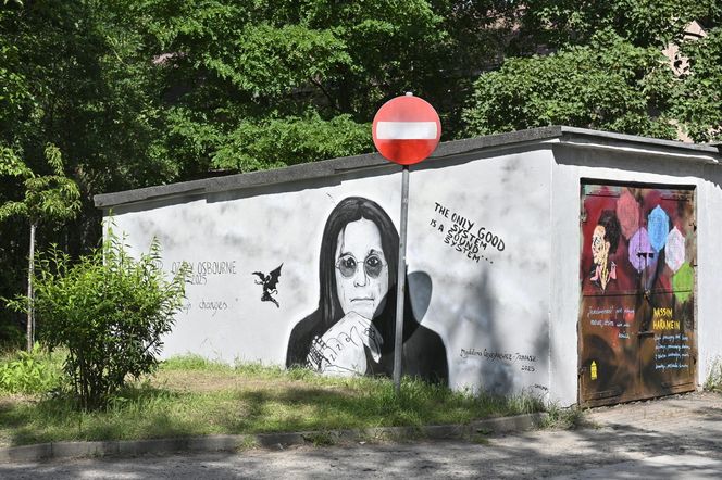 Ozzy Osbourne na Osiedlu Przyjaźń. Wyjątkowy portret "Księcia Ciemności"