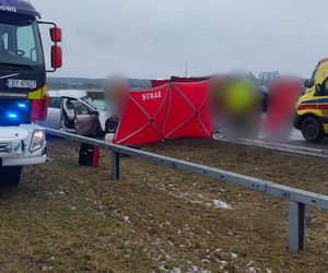 Trzy osoby nie żyją, w tym 4-letnia dziewczynka! Kierujący oplem jechał S5 pod prąd [WIDEO]