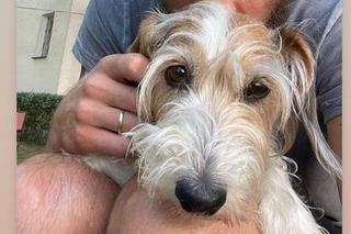 Zborowska i Wrona przekazali przerażające wieści. Podczas operacji Wiesi doszło do komplikacji. Zatrzymała się...