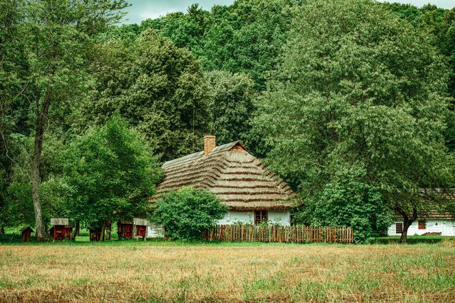 Te gminy na Podkarpaciu odnotowały najniższy dochód na 1 mieszkańca