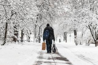 Zima 2023 - czy będzie jeszcze śnieg? TAKIEJ prognozy nikt się nie spodziewa!
