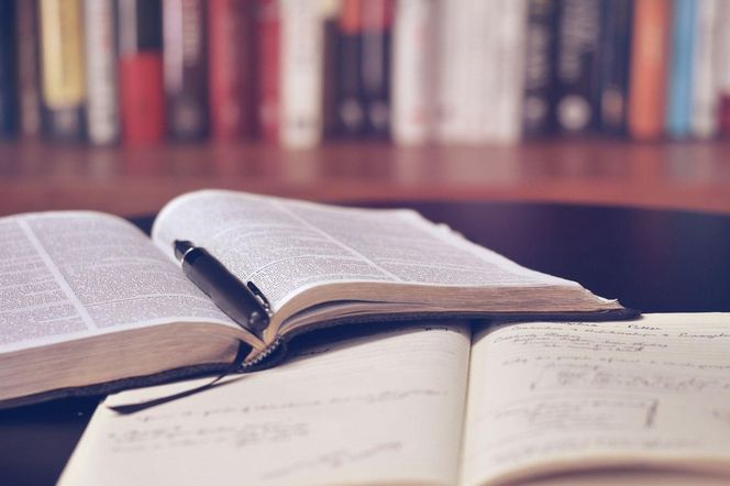 QUIZ: Test nie tylko dla maturzystów. Sprawdź, ile pamiętasz z lekcji polskiego!