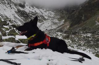 Tragedia w Tatrach. Nie żyje 24-letni turysta. Nie miał mu kto pomóc
