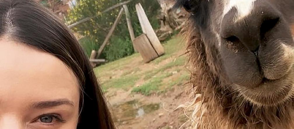 Lama zepsuła jej selfie