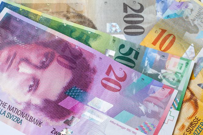 FRANK DOLAR EURO KURS PIENIADZE KREDYT