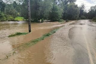 Zalane drogi, powalone drzewa, woda w piwnicach. To skutki czwartkowych nawałnic, które przeszły przez region tarnowski