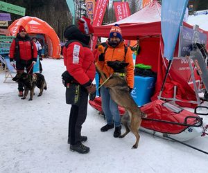 Bijemy Rekord Małopolskiej Gościnności na Jaworzynie Krynickiej