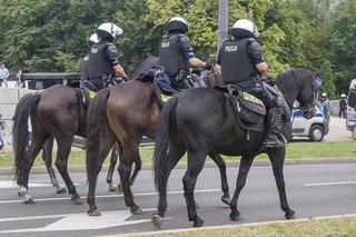 Policja konna budzi respekt. Sam widok dużego konia, który niczego się nie boi, odstrasza