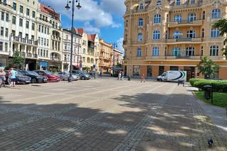 Plac Wolności do remontu. Radni na jego czas wyłączyli ochronę nad cennym drzewem