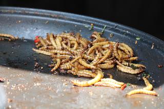 Masz problem z robakami w składzie jedzenia? Jesz je już od dawna