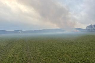 Potężny pożar stodoły w Wielkopolsce. Wichura utrudniała akcję 