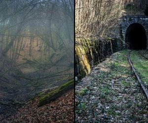 Tajemnica 65. kilometra. Niewyjaśniona historia Złotego Pociągu