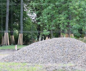 Rewitalizacja parku Bronowickiego w lublinie - postęp prac na koniec lipca 2025