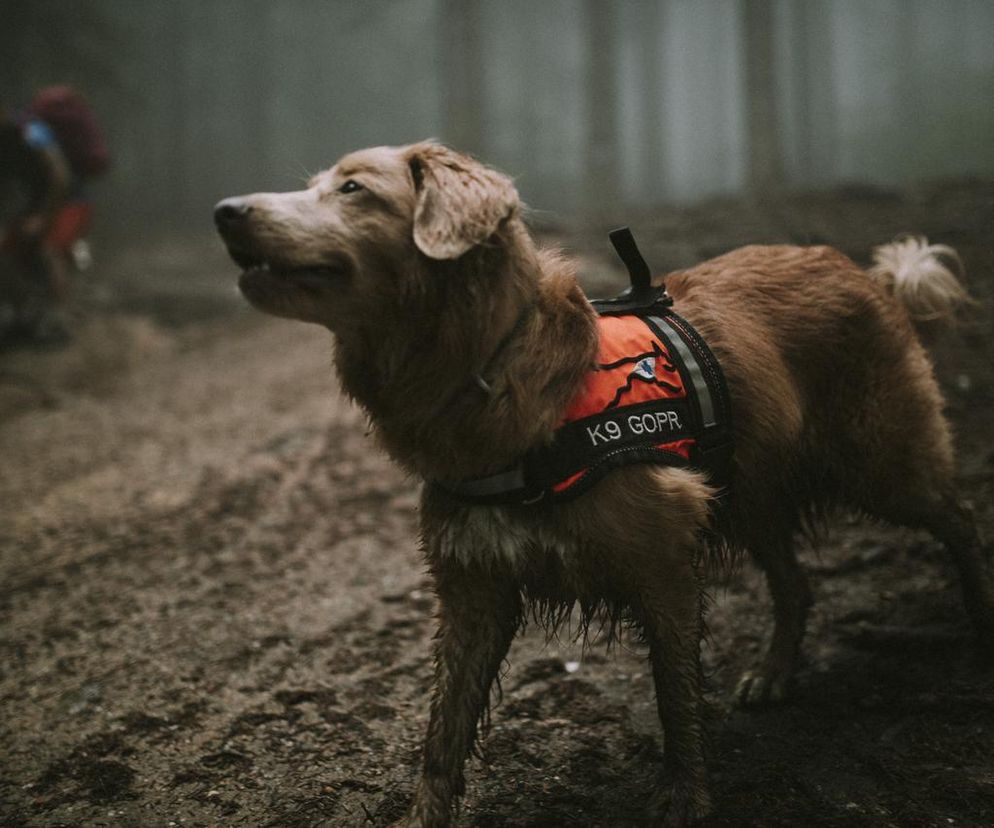 „Przyjaźń Łączy – Wspólnie dla Zwierząt”