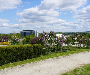 Ogród Botaniczny w Kielcach