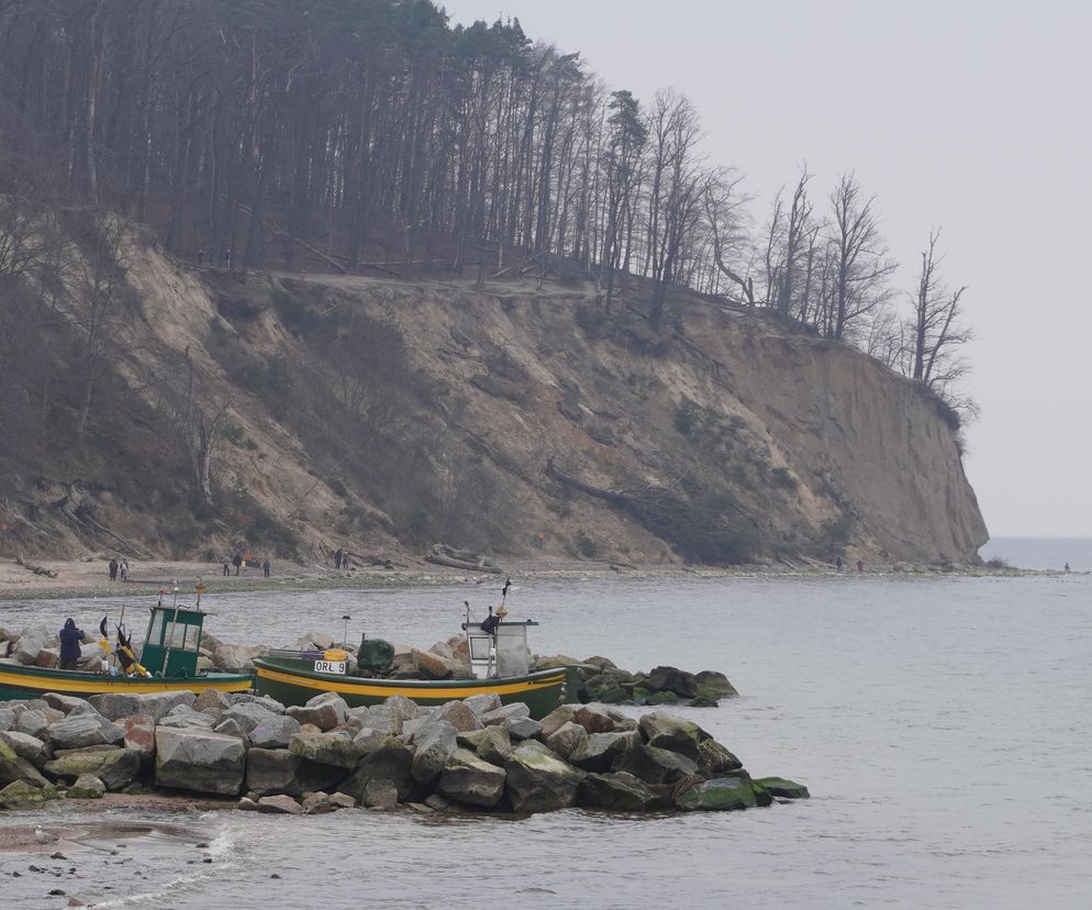 Gdynia. Przyszłość klifu w Redłowie. Czy uda się go ochronić?