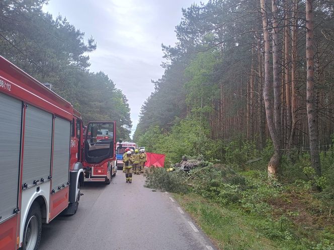 Zderzenie auta z łosiem zakończyło się tragedią