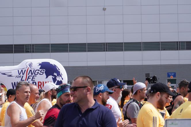 Bieg Wings for Life World Run 2024 w Poznaniu