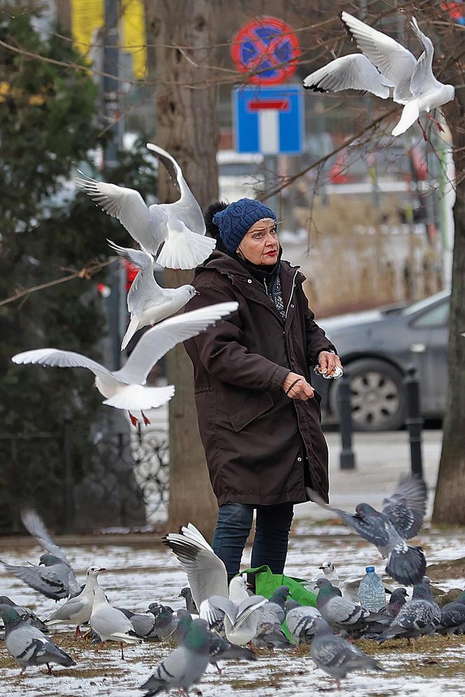 Anna Chodakowska. Gwiazda "Labiryntu" wśród ptaków