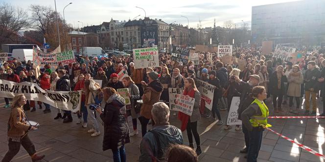 Wielki protest w Krakowie. Strajkowali w obronie klimatu 