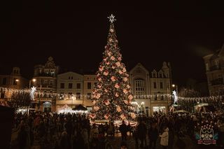 Poznaliśmy harmonogram Jarmarku Św. Mikołaja w Grudziądzu. Gwiazdami Zalia i Zakopower