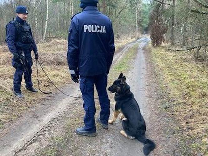 Poszukiwania zaginionego mężczyzny pod Końskimi
