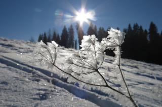 Pogoda 20-27.01.2018 - orkan to nie najgorsze, co was czeka!