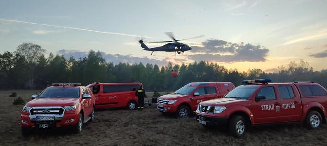 Ogromny pożar pod Grójcem! Spłonęło 80 hektarów lasu